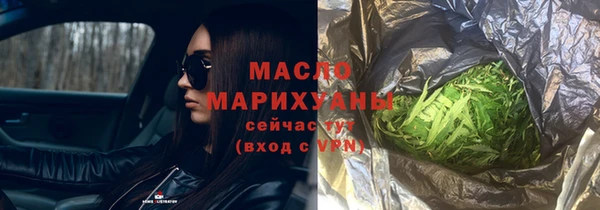 крисы Кулебаки