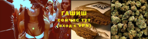 крисы Кулебаки