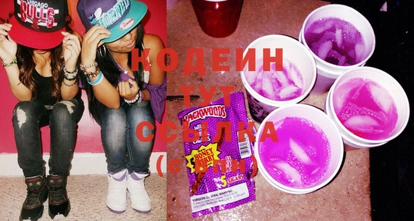 крисы Кулебаки