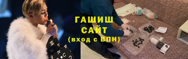 крисы Кулебаки