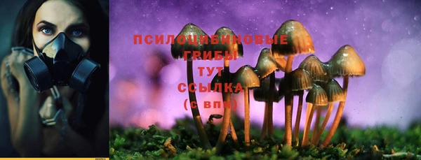крисы Кулебаки