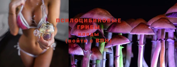 мяу мяу мука Ладушкин