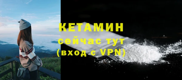 крисы Кулебаки