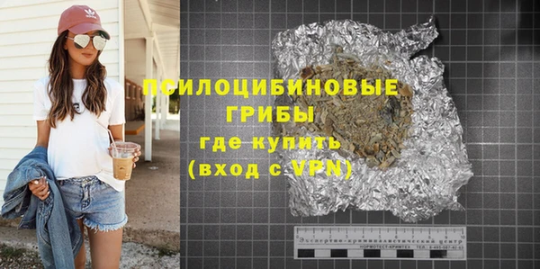 крисы Кулебаки