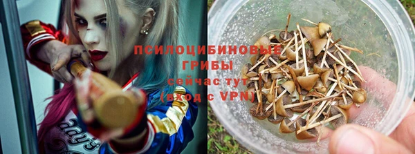 прущая мука Кукмор
