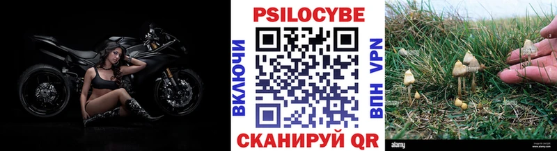 даркнет сайт Нальчик Галлюциногенные грибы GOLDEN TEACHER