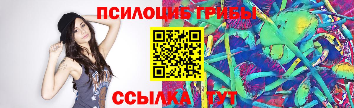 Бошки Шишки Нальчик